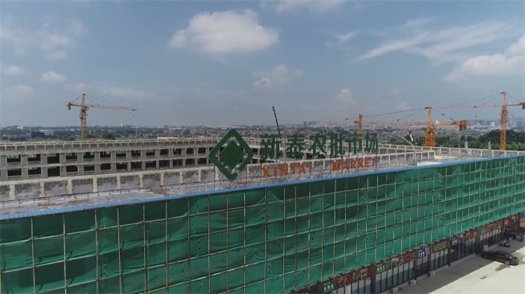 泰安新泰市加快推進(jìn)青云智慧冷鏈物流園建設(shè) 樓宇智能化工程施工全面展開(kāi)
